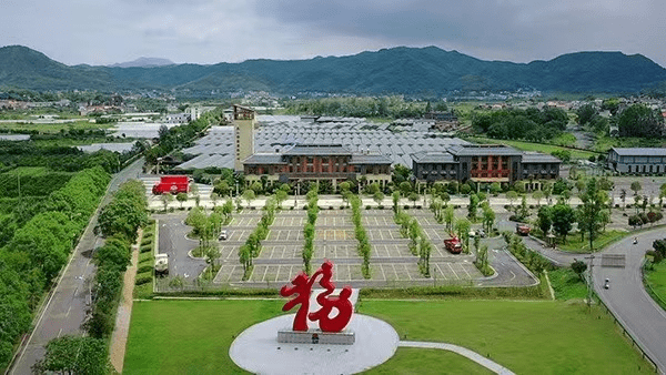 （乡村行・看振兴）走进江西最大黑芝麻县域产区：一派忙碌景象
