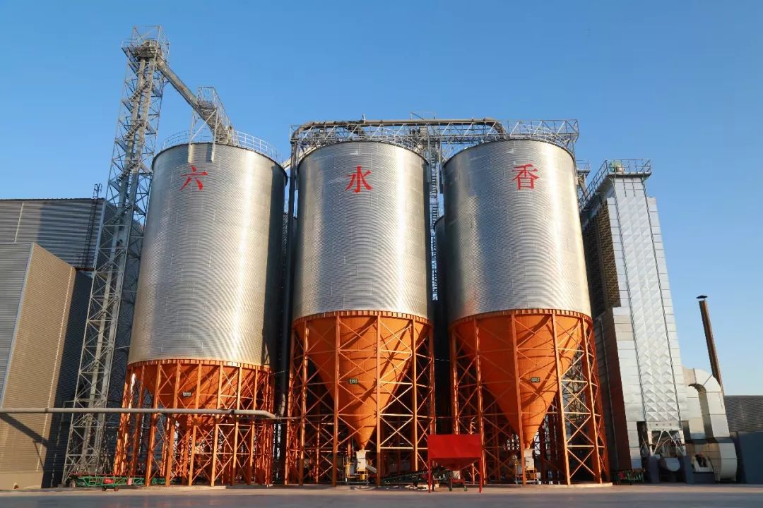 2025大米产业：产业链整合加速，全链条价值凸显_人保服务 ,人保护你周全