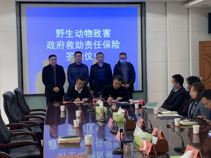 2025功能性洗手液行业的技术壁垒与投资回报率解析_保险有温度,人保有温度