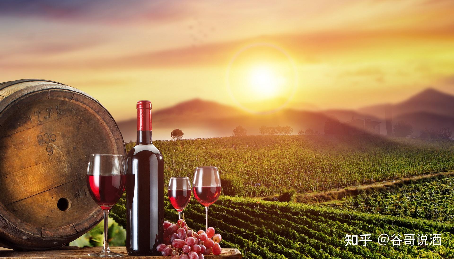 山葡萄酒行业现状与发展趋势分析_拥有“如意行”驾乘险,出行更顺畅!,人保护你周全