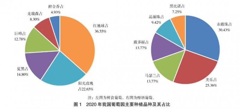山葡萄酒行业现状与发展趋势分析_拥有“如意行”驾乘险,出行更顺畅!,人保护你周全