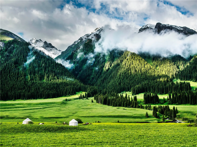 人保服务 ,人保车险   品牌优势——快速了解燃油汽车车险_2025年绿色航空行业发展前景预测及产业调研报告