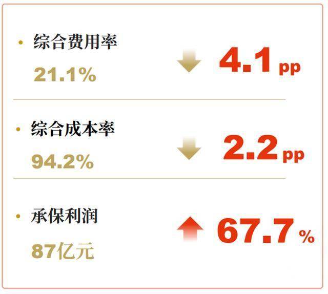 2025年薄荷巧克力行业市场深度调研及发展趋势预测_人保财险 ,人保有温度