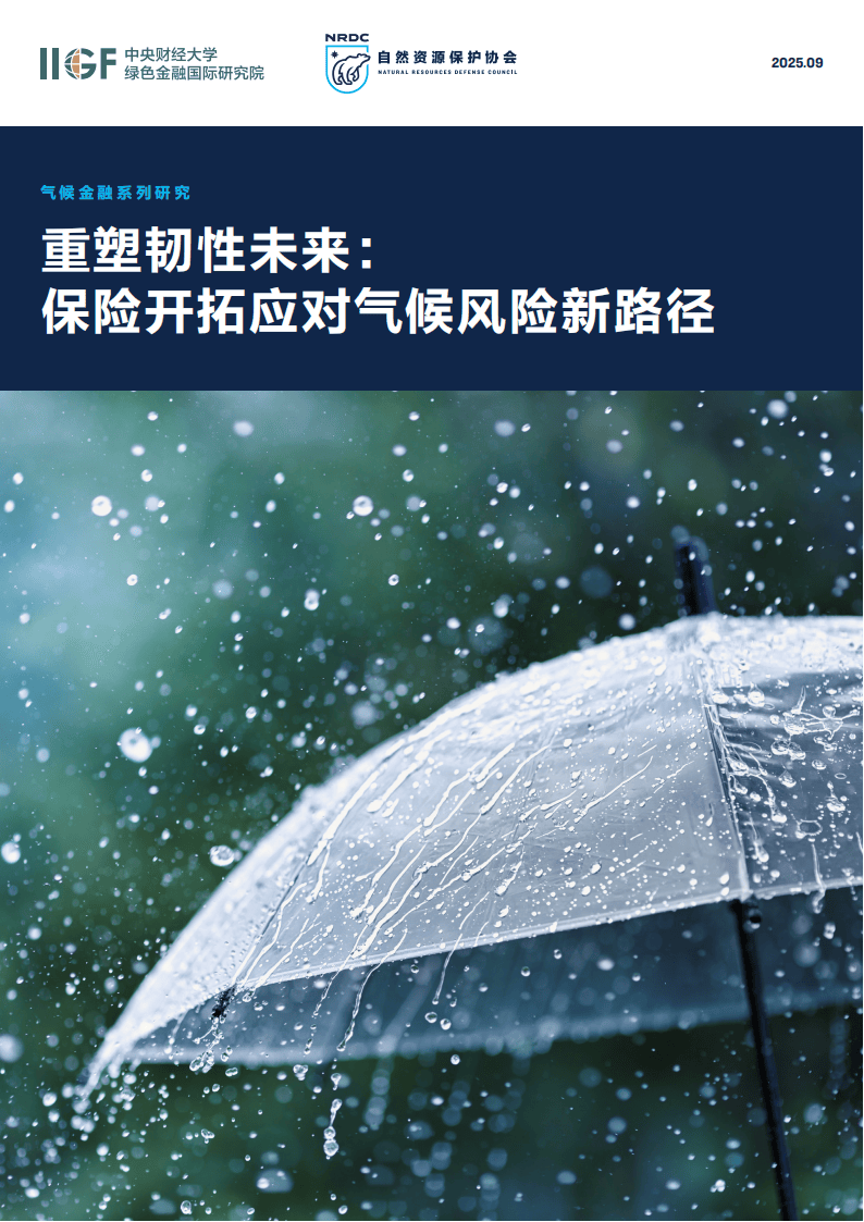 2025中国风电场行业：从“国内竞争”到“全球布局”的生态重构_人保车险   品牌优势——快速了解燃油汽车车险,人保车险