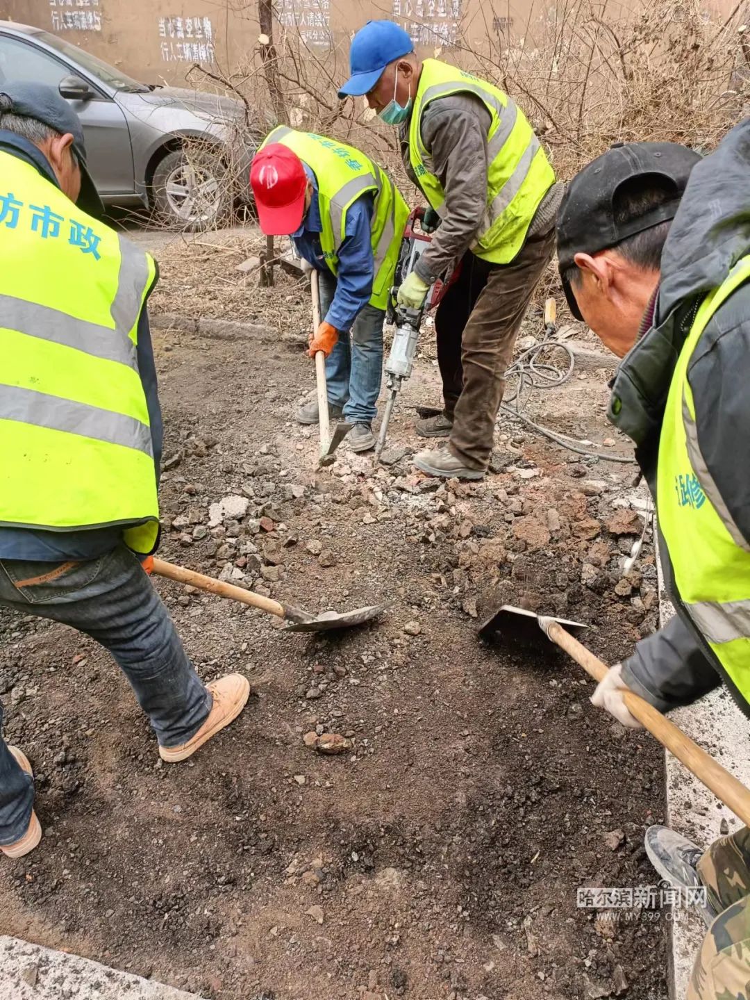 拥有“如意行”驾乘险，出行更顺畅！,人保财险 _2025年杜仲茶行业市场深度调研及发展趋势预测