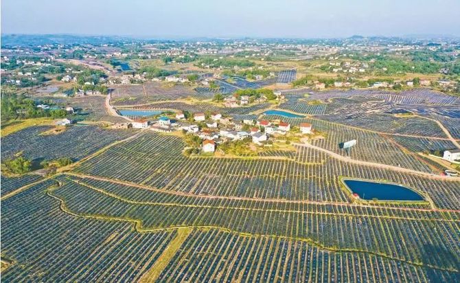 保险有温度,人保护你周全_智慧农业行业现状与发展趋势分析