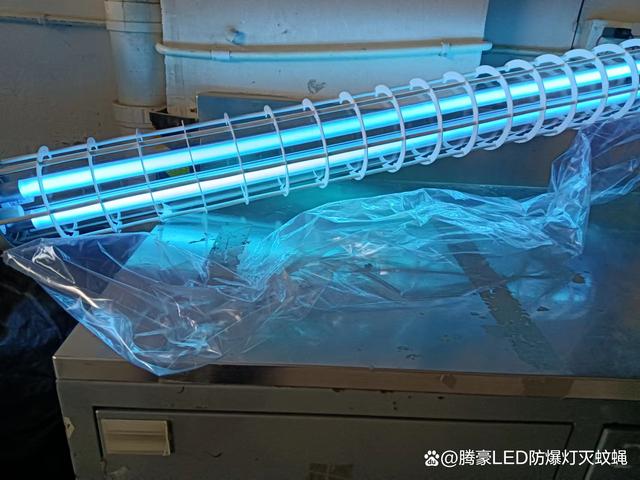 2024年紫外线杀菌灯行业发展现状、竞争格局及未来发展趋势分析_人保车险   品牌优势——快速了解燃油汽车车险,拥有“如意行”驾乘险，出行更顺畅！