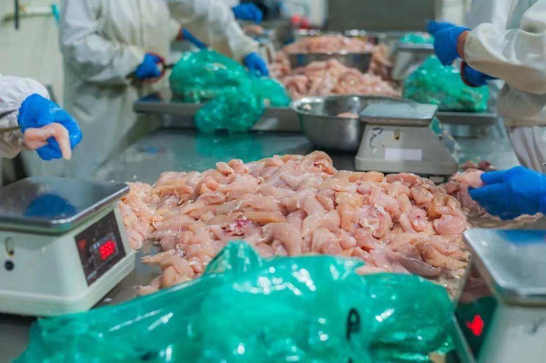 水稻种植行业现状洞察与未来趋势_拥有“如意行”驾乘险，出行更顺畅！,人保财险 