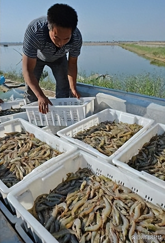 人保伴您前行,人保财险政银保 _深海养殖行业现状与发展趋势分析
