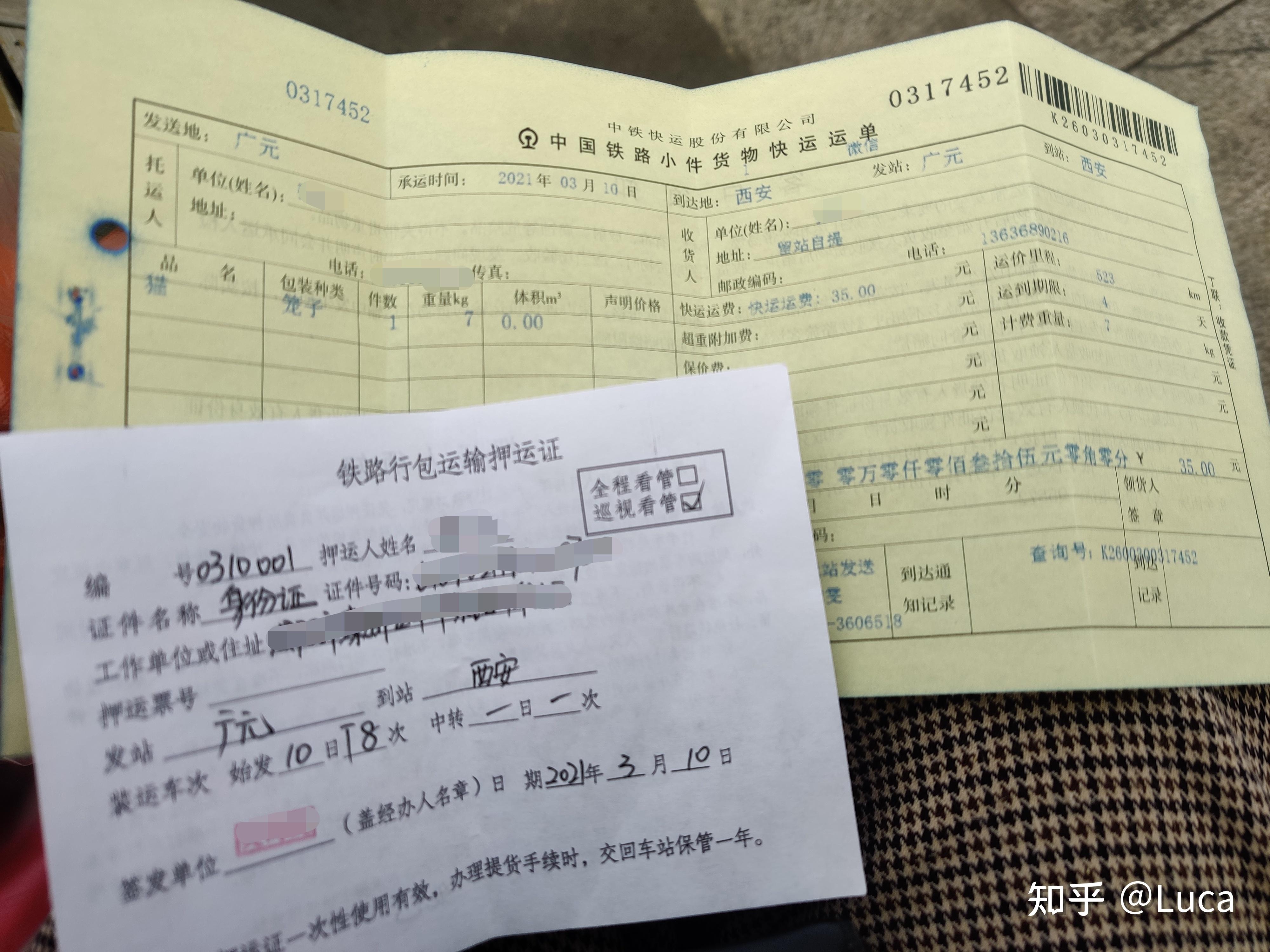 福建首次开展高铁宠物托运服务 新增福州站、厦门北站托运试点