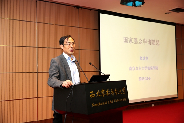 头部基金,争相申报巴西主题QDII!