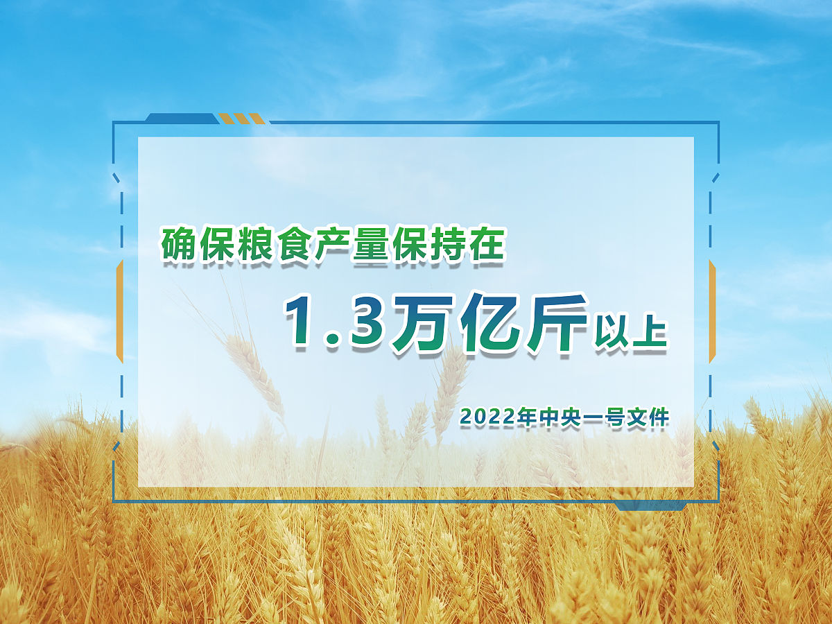 国家粮食和物资储备局：中国推进粮食节约减损取得显著成效