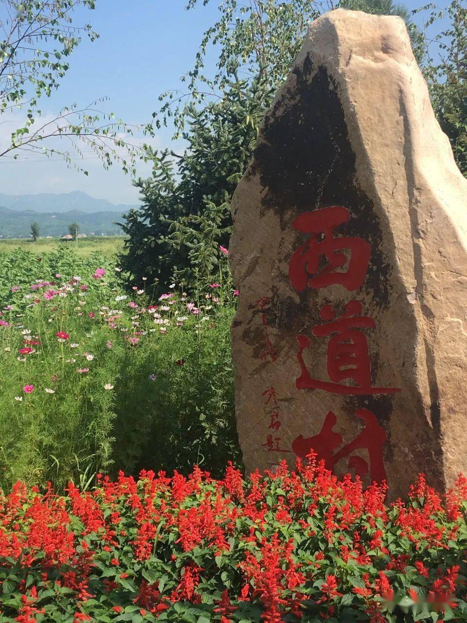 （走进中国乡村）广西小镇“破茧”新生：“丝路新韵”触达全球