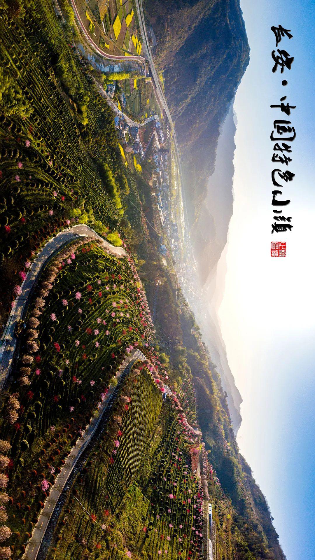 （走进中国乡村）广西小镇“破茧”新生：“丝路新韵”触达全球