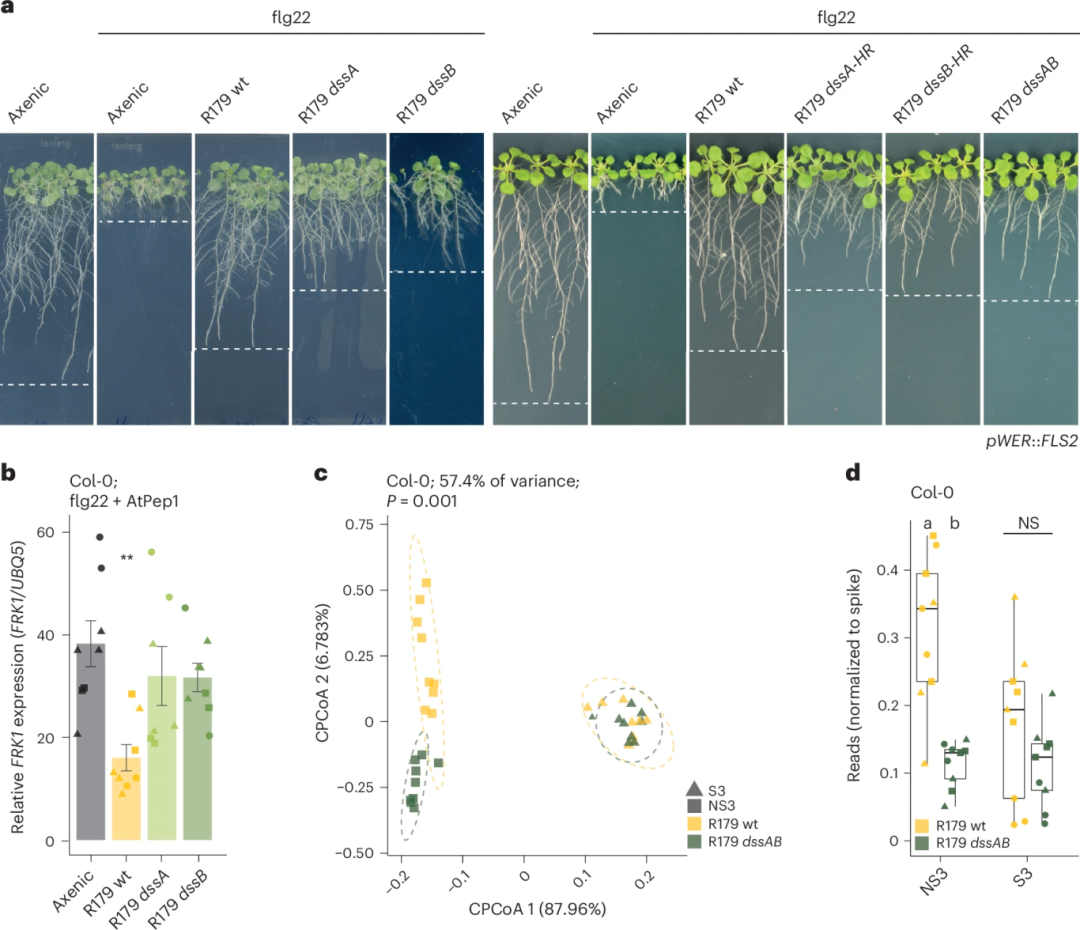 2-025年蜂窝纸板行业发展现状、竞争格局及未来发展趋势分析_保险有温度,人保车险