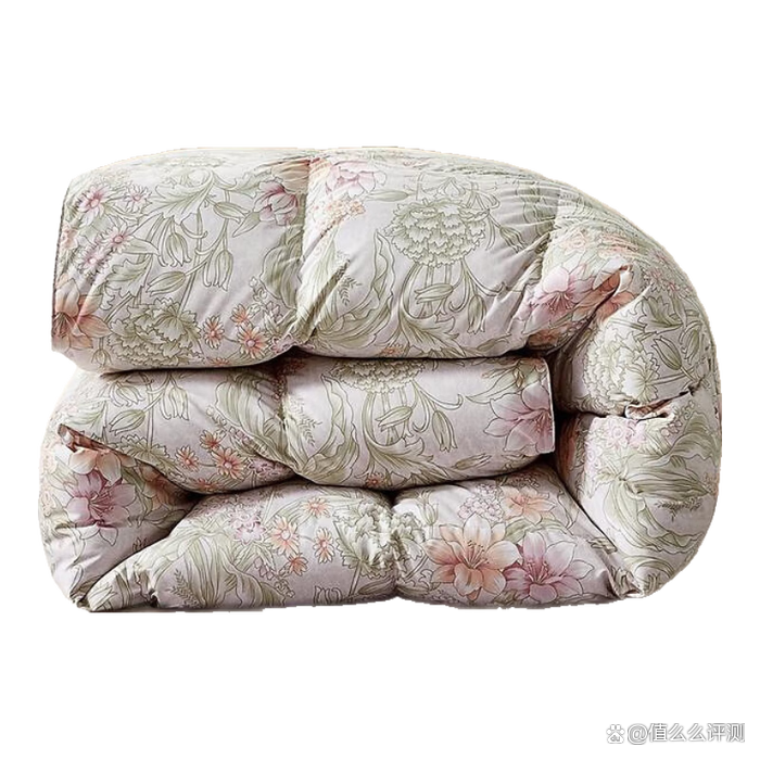 保险有温度,人保服务 _2025羽绒被行业:从“保暖刚需”到“品质革命”的跨越