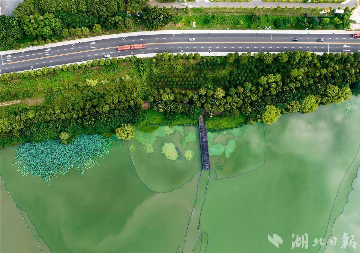 拥有“如意行”驾乘险,出行更顺畅!,人保财险 _电子线材产业深度调研及未来发展趋势预测2025