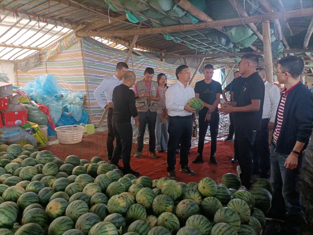 西瓜行业现状与发展趋势分析_人保服务 ,人保车险