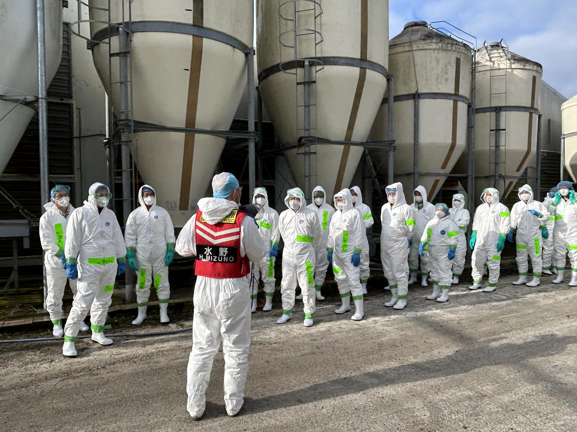 德国禽流感蔓延：超20万只家禽被扑杀