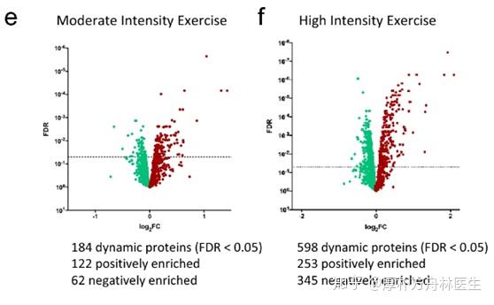 中国团队最新研究发现:女性从运动中得到心脏获益可能更多
