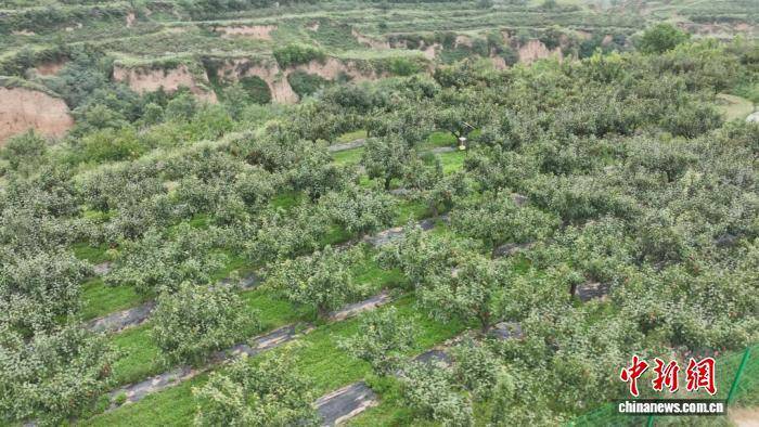 （乡村行・看振兴）山西榆社：“甲鱼”变“致富鱼” “养”出特色产业富民路