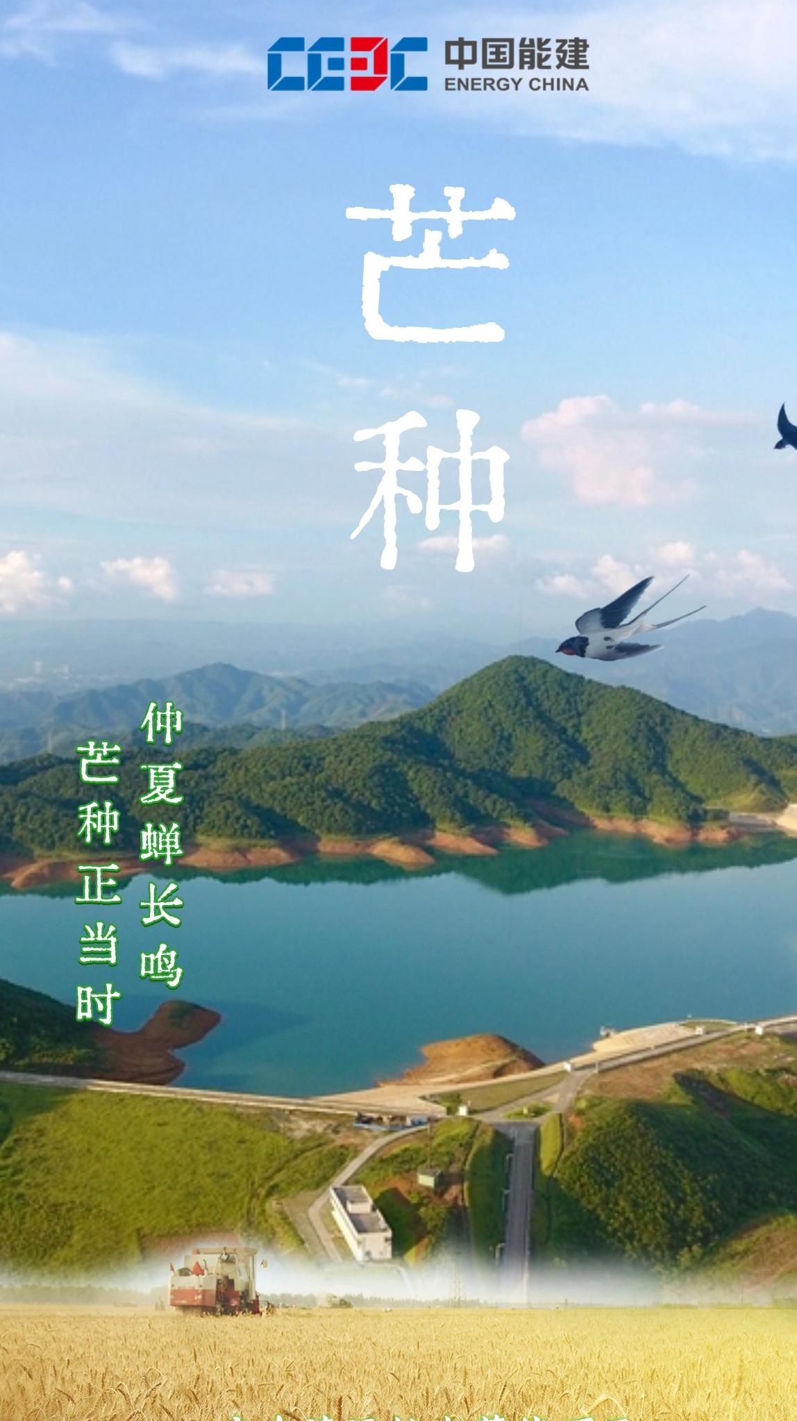 （乡村行・看振兴）山西闻喜：500亩示范田达产 “吨半粮”技术走出试验田