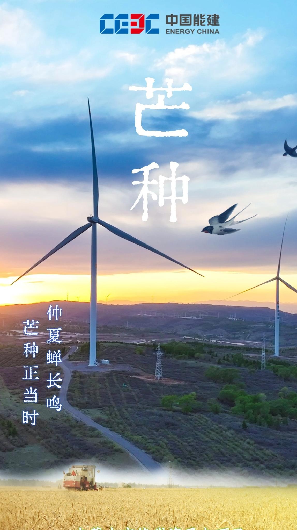 （乡村行・看振兴）山西闻喜：500亩示范田达产 “吨半粮”技术走出试验田