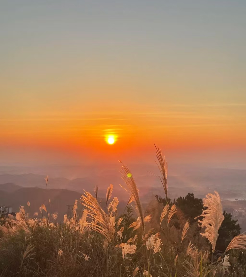 广西凭祥深耕情绪消费潜力 文旅“跑”出新风景