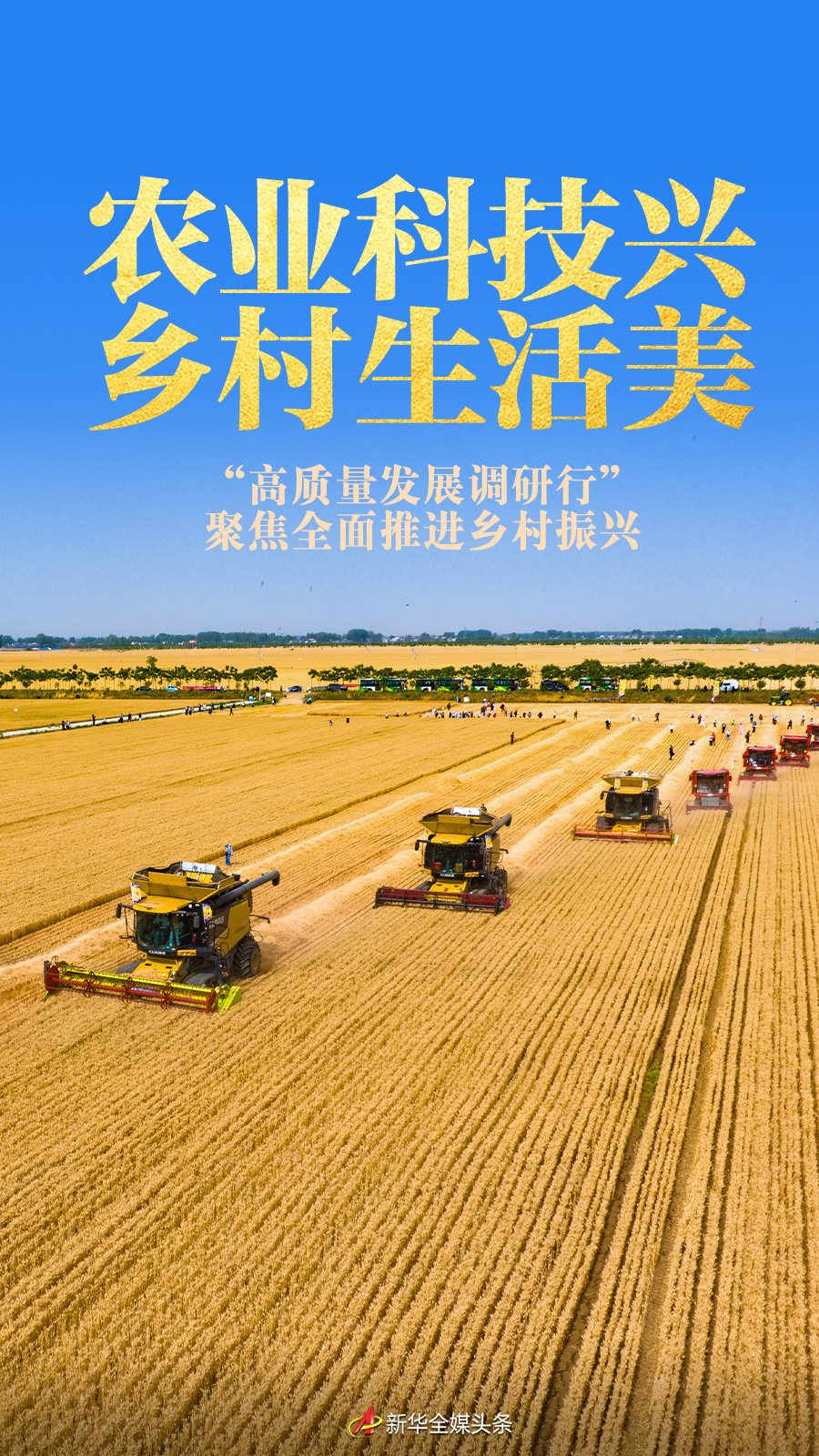 （乡村行・看振兴）广西宁明荒山爬满“黄金藤” 撬动大健康产业新蓝海