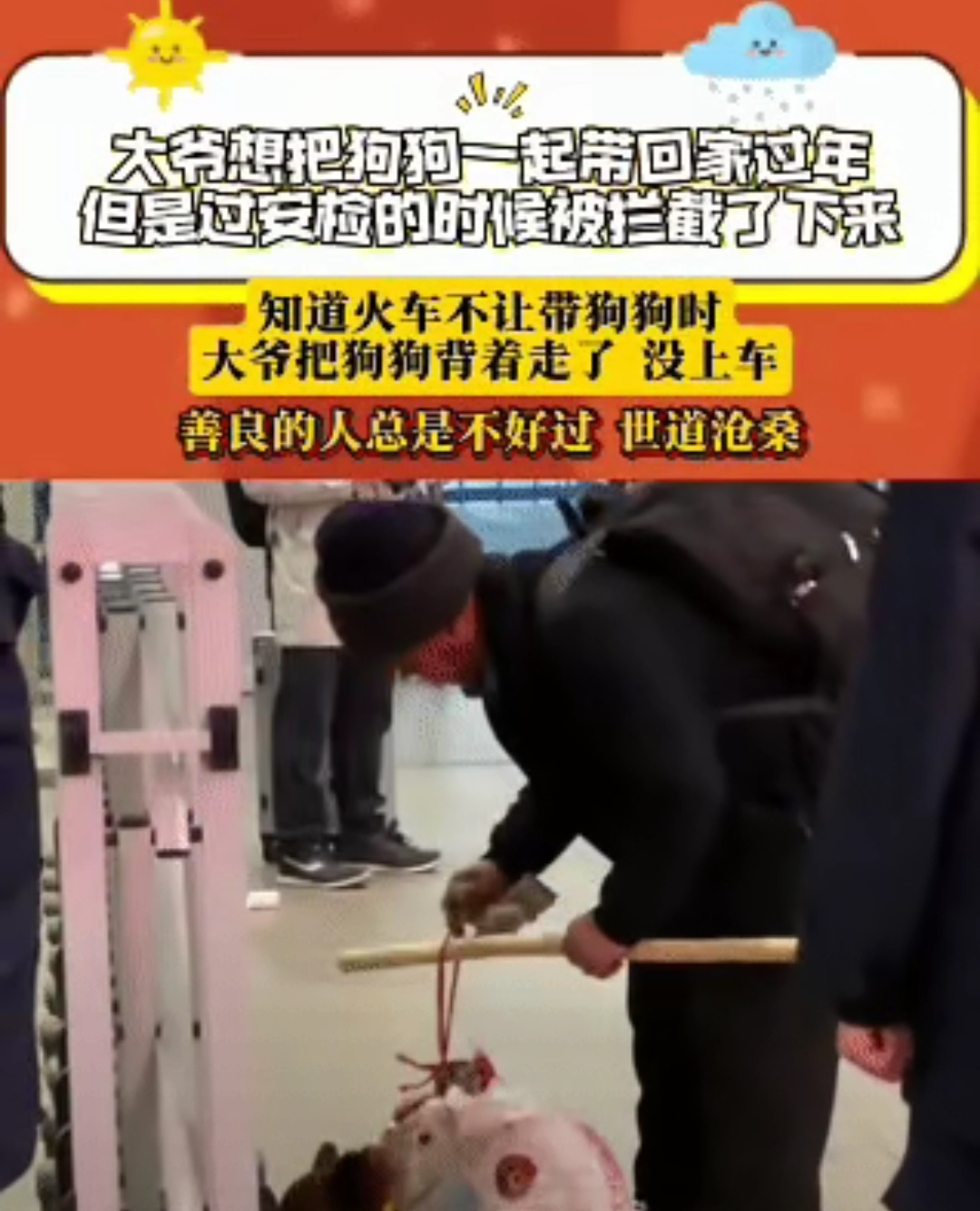 山西太原：狗狗当“店长”吸引客流