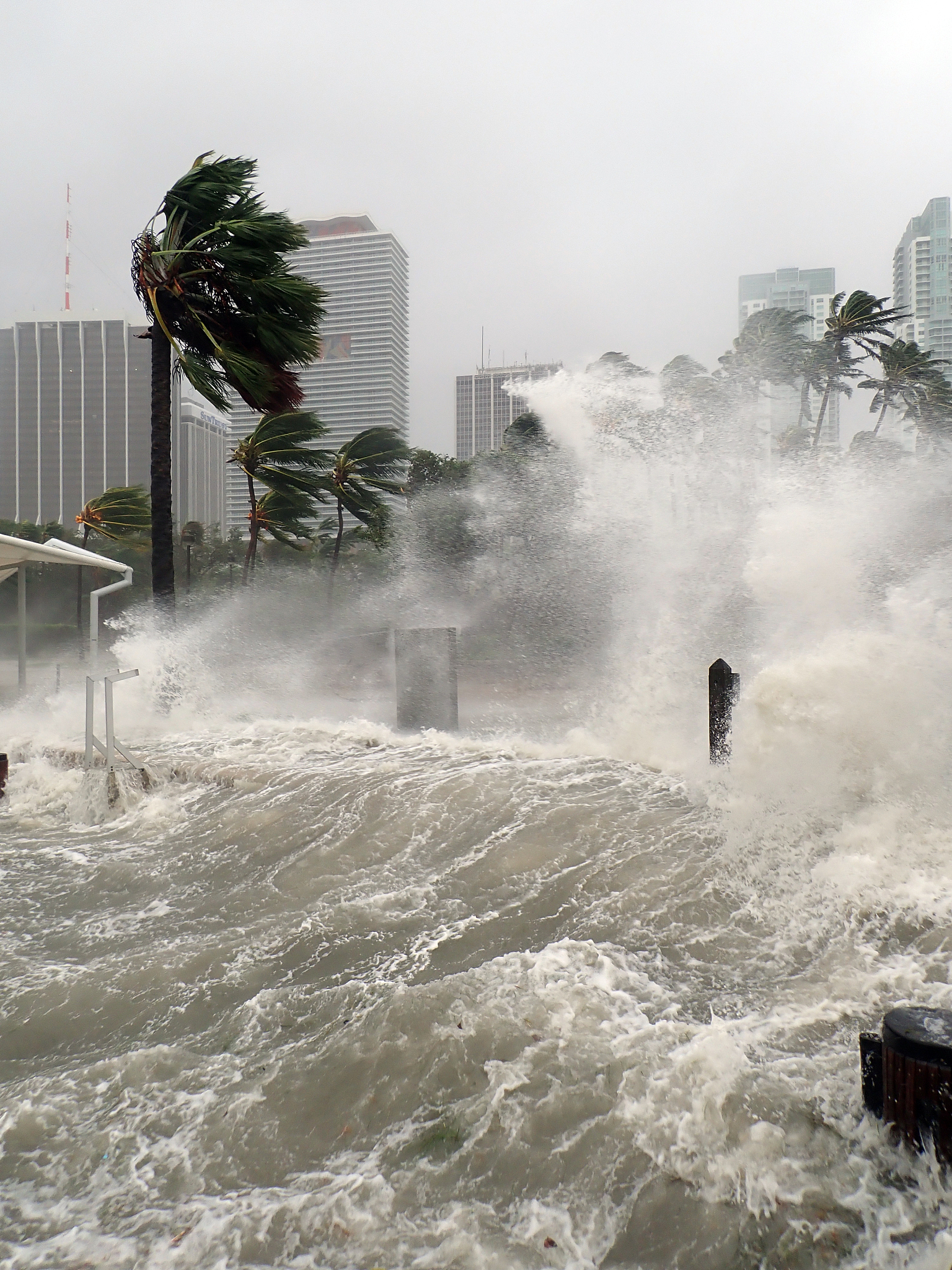 三亚启动防御台风Ⅳ级响应 部分涉客船舶6日8时起禁航
