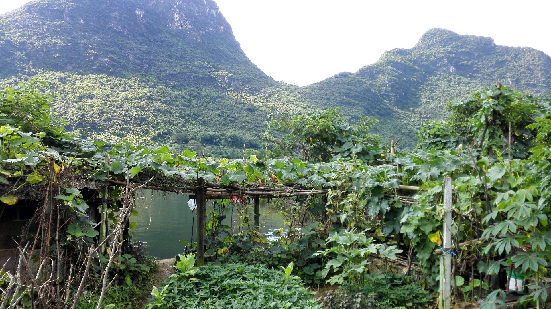 桂林两水库移民村蝶变记:政策产业富农家