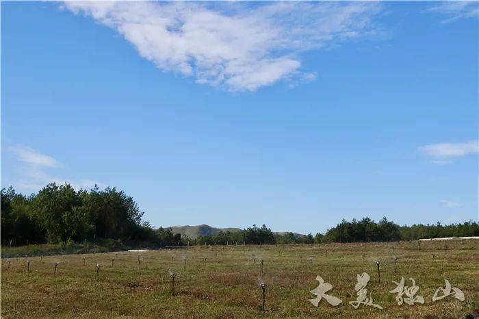 国家林草局原党组成员、副局长李春良被开除党籍