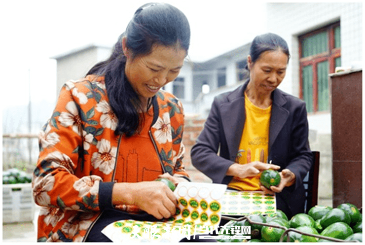 讲述品牌故事 江西提升重点产业链附加值