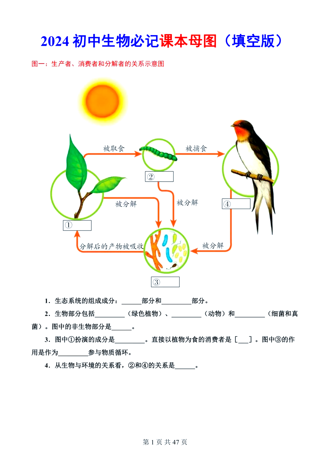 2025中国维生素原料药行业：不可或缺的“微观世界”基石_拥有“如意行”驾乘险，出行更顺畅！,人保护你周全