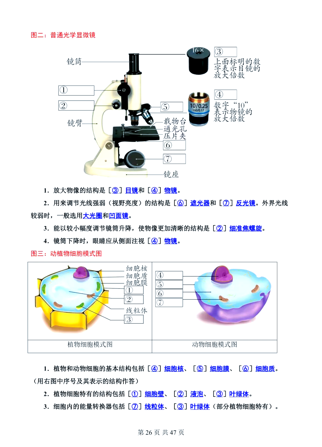 2025中国维生素原料药行业：不可或缺的“微观世界”基石_拥有“如意行”驾乘险，出行更顺畅！,人保护你周全