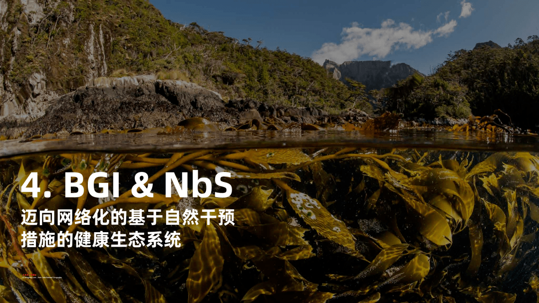 将自然当作基础设施 亚投行经济学家称中国经验具全球价值