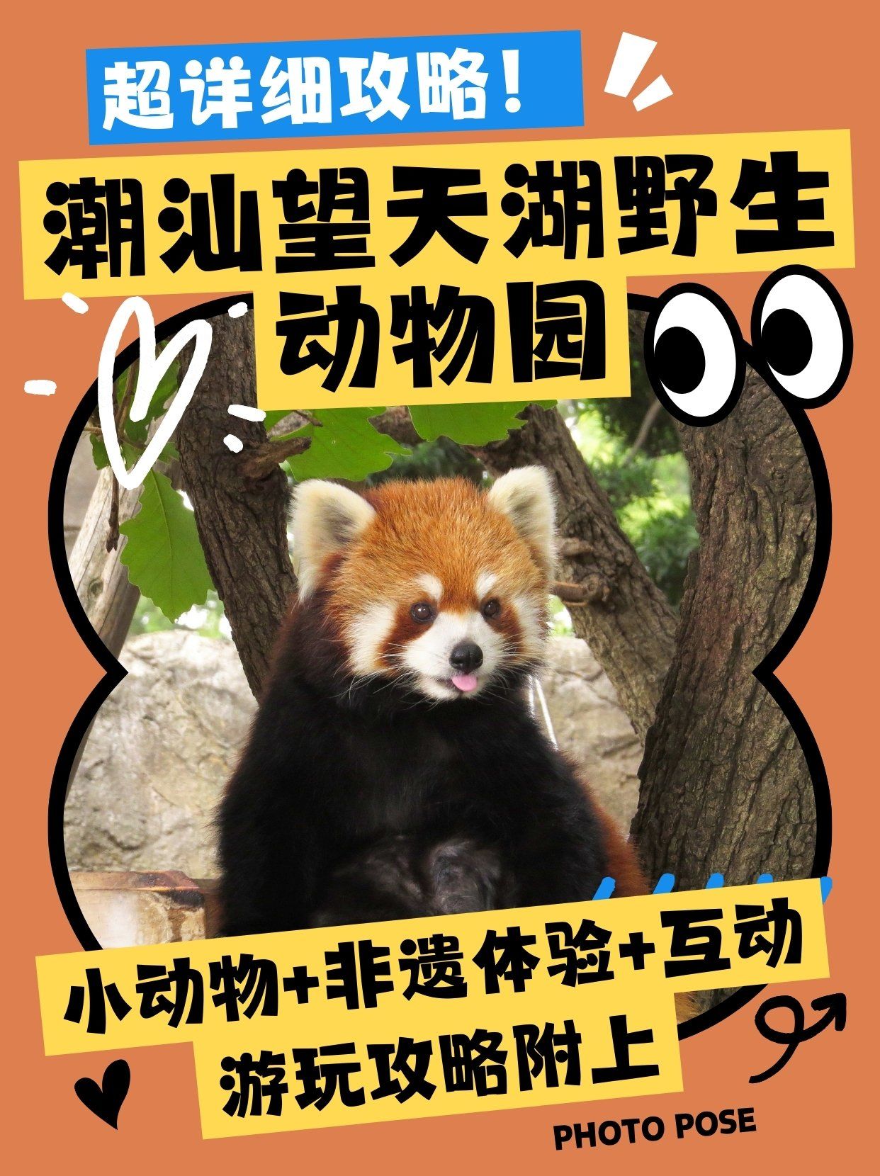 （粤港澳全运会）全运会上这些“动物”，藏着大湾区发展密码