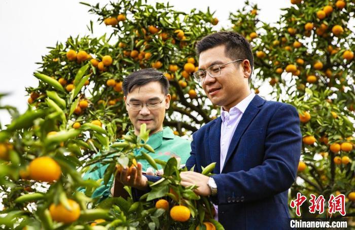 浙江农创客规模已超10万人