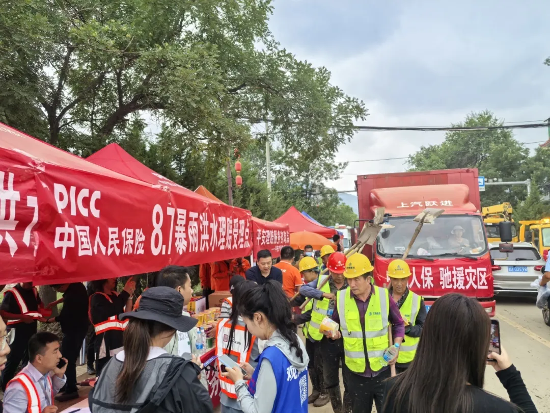 2025-2030年中国铁合金行业:下一个投资风口探寻_人保伴您前行,人保财险政银保