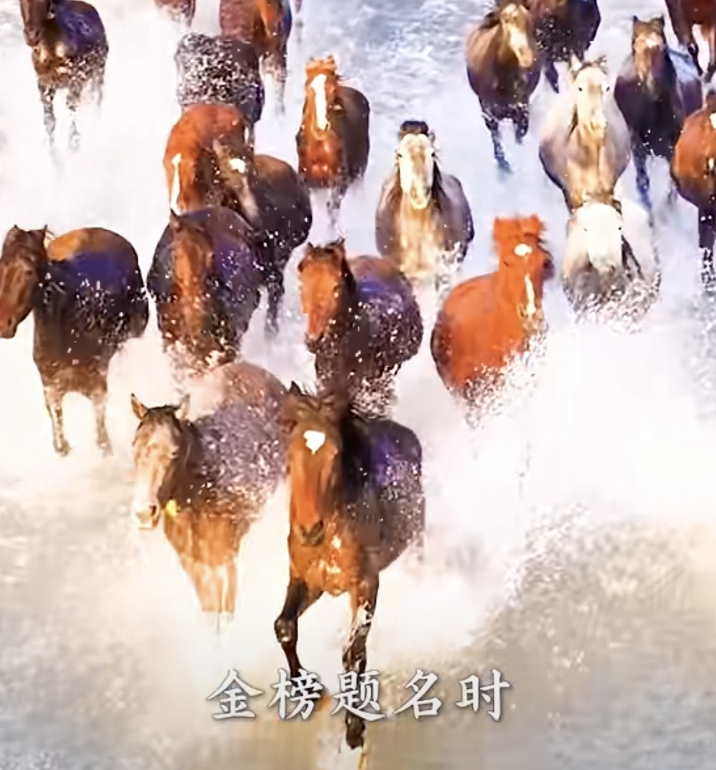 当“冰墩墩”遇上中国名马 “马墩墩”跃动传祝福