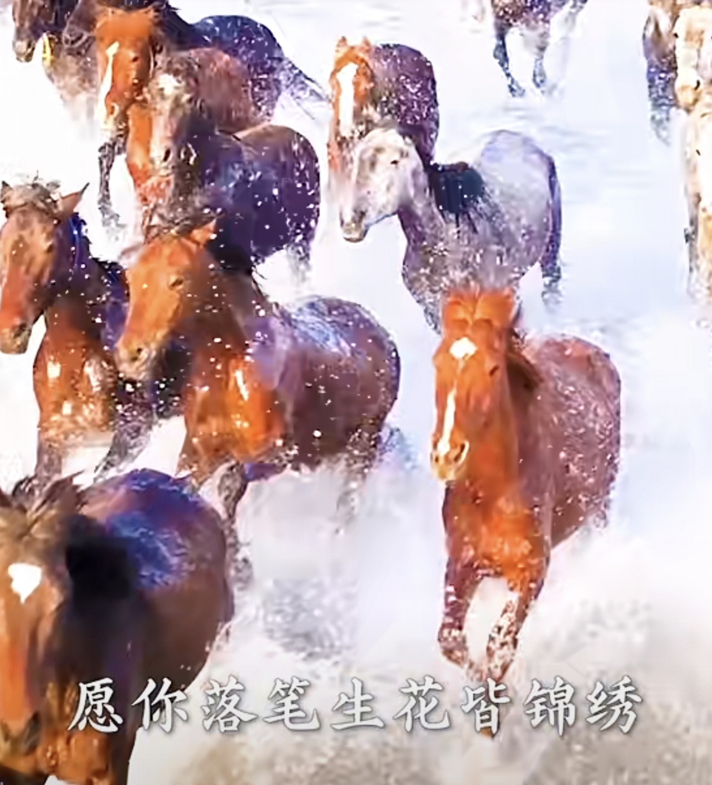 当“冰墩墩”遇上中国名马 “马墩墩”跃动传祝福