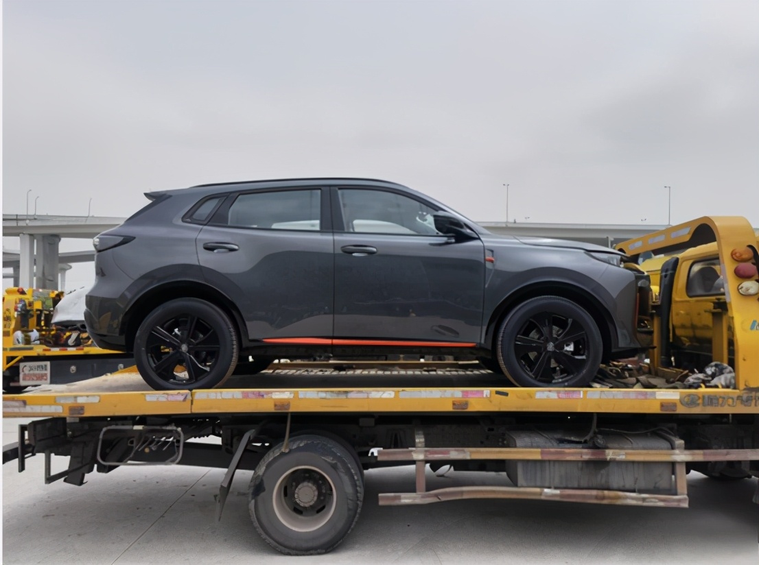 实探险企2026年“开门红”:主打产品生变 长期留客能力待检验