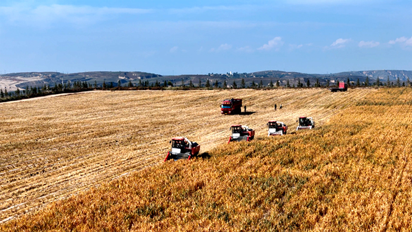 (走进中国乡村)导航播种+长势监测 “智慧农业”助山西秋收