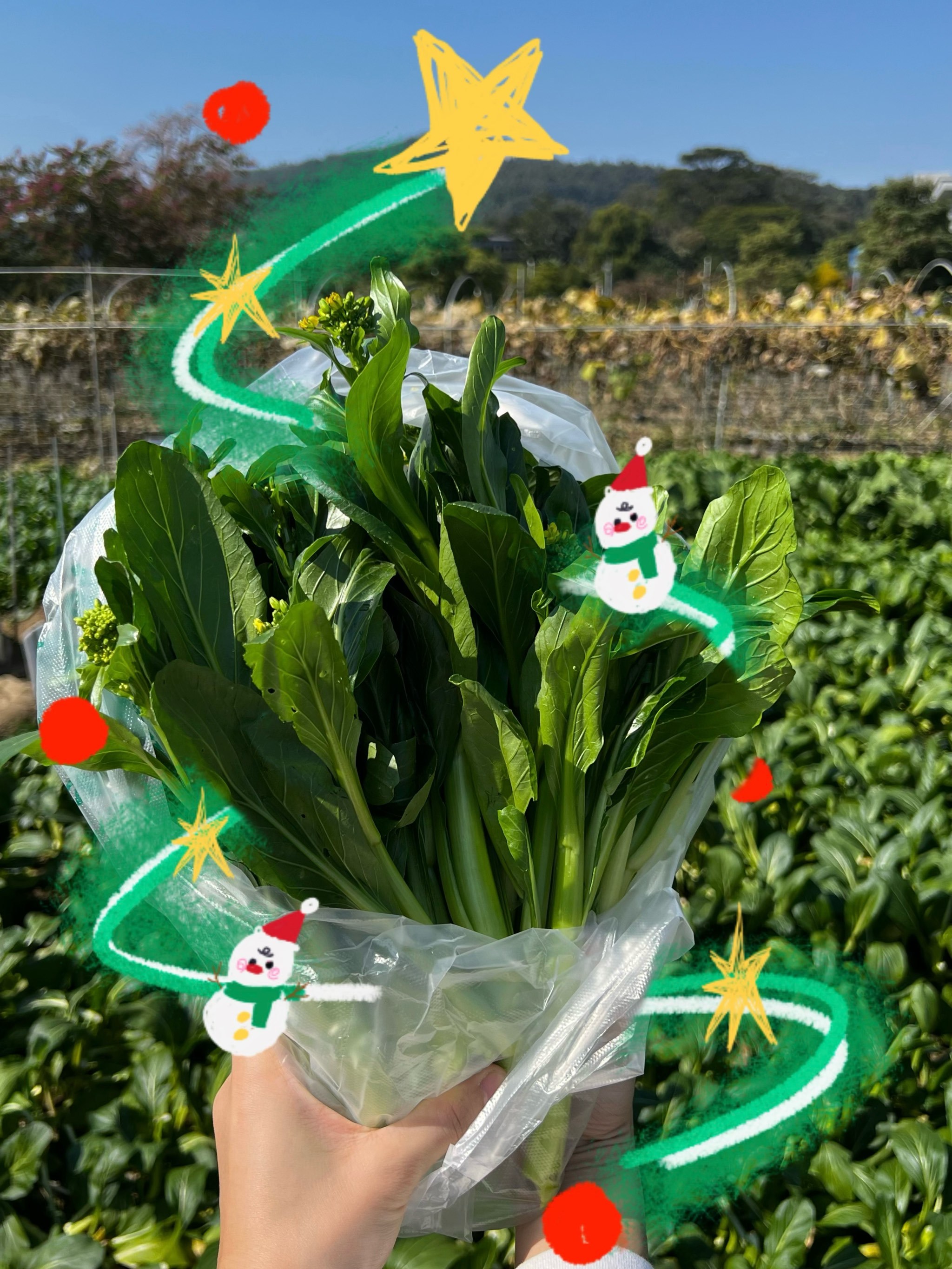 (走进中国乡村)导航播种+长势监测 “智慧农业”助山西秋收