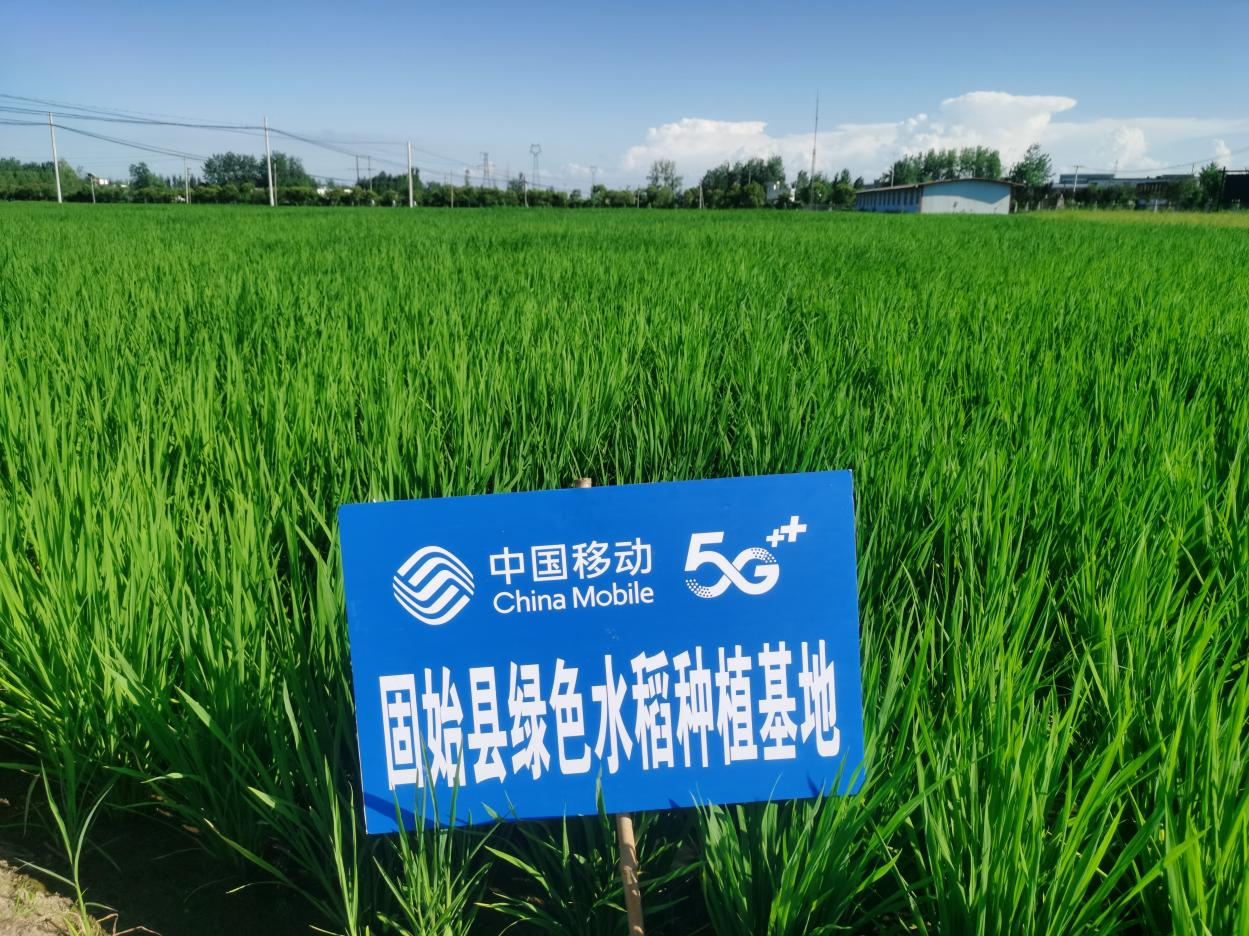 (走进中国乡村)导航播种+长势监测 “智慧农业”助山西秋收