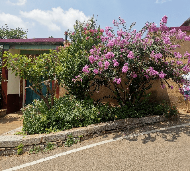 (乡村行・看振兴)“归燕”反哺桑梓地 澄迈古村焕新生