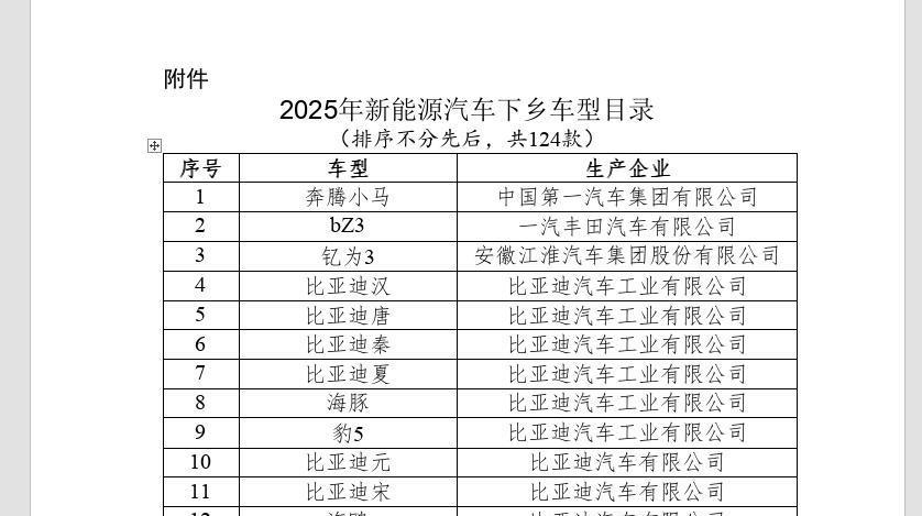 保险有温度,人保有温度_2025-2030年中国汽车轻量化行业:电动化必由之路,千亿赛道临界点