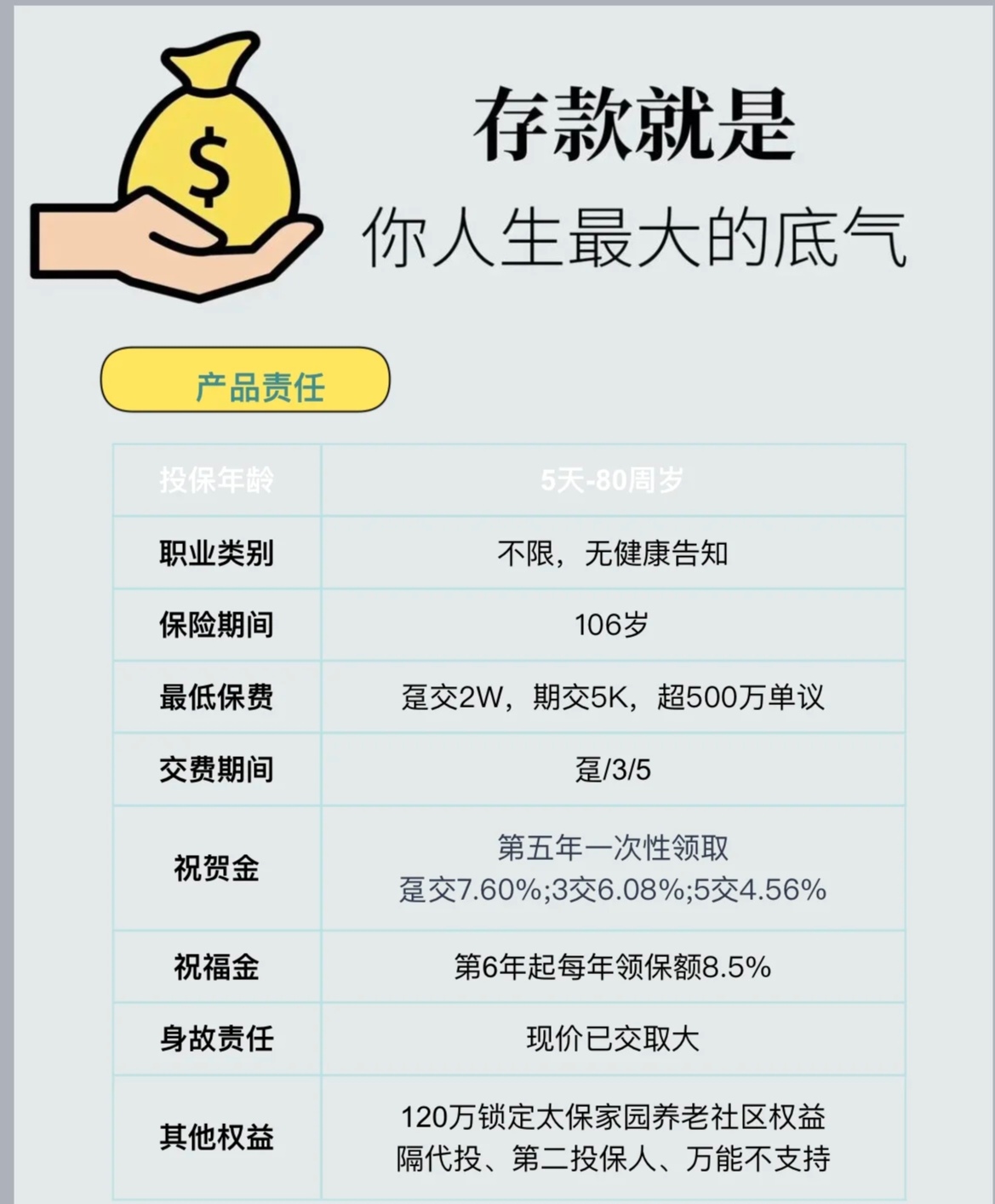 可持续奢华与情感消费:2025-2030中国真皮行业市场的双重增长引擎_保险有温度,人保护你周全