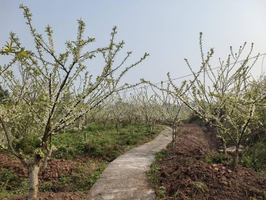 浙江县域观察:山村“文化种子”绽放“希望之花”